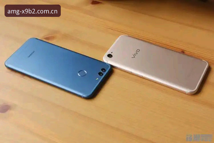 X9B2如何安装使用指南 X9B2安装使用指南:官方标准 vs 第三方工具全面对比